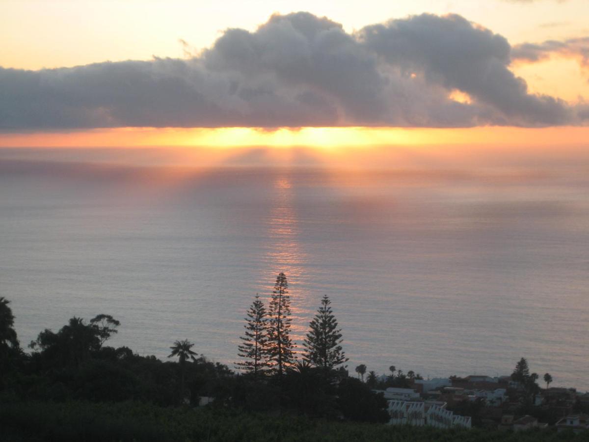 Comfortable Apartment In The North Of Tenerife El El Sauzal Extérieur photo