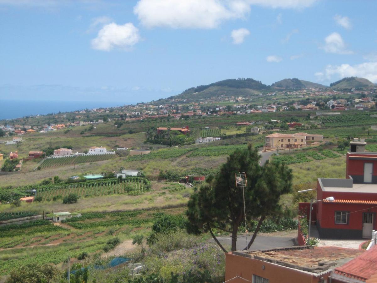 Comfortable Apartment In The North Of Tenerife El El Sauzal Extérieur photo